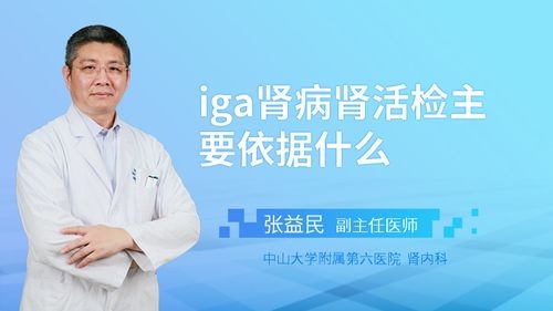 IGA肾病要吃多久激素？lga4升5级多久