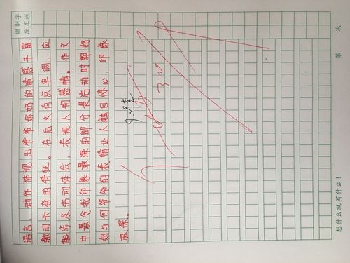 六年级小练笔50字左右点面结合？电面之后多久收到面试邮件