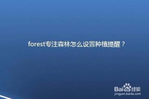 forest标签设置多少个？forest设置多久