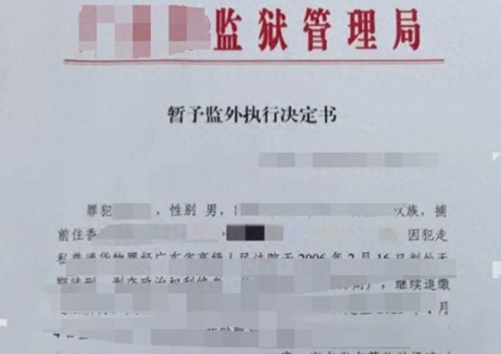 公安局说的临控和网上追讨有什么区别，能具体讲一下吗？立即释放是指多久