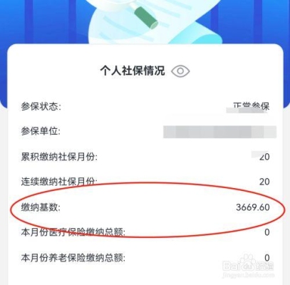 支付宝查询社保买后几个月能查？支付宝怎么看用了多久