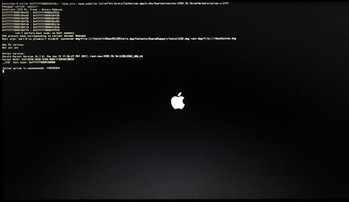 黑苹果，进不了安装界面，跑完代码就重启，怎么回事？黑苹果跑代码要多久