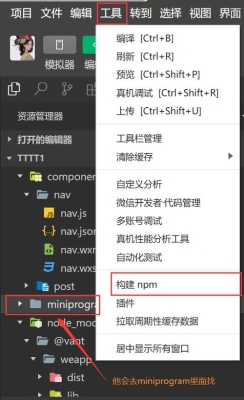 npm可以同时装两个版本吗？npm install要多久