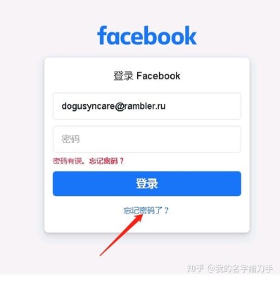 facebook审核无法通过，一个多礼拜了，怎么办啊？facebook 审核照片多久