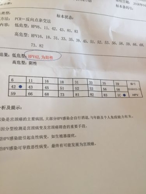 cin1是怎么引起的？高危型hpv多久转c1n