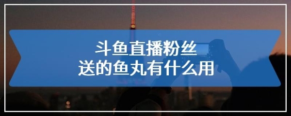 斗鱼鱼丸是两个月自动结算吗？斗鱼的鱼丸是多久更新一次