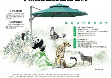 熊猫传媒合法吗？熊猫驾信多久能查电子抓拍记录