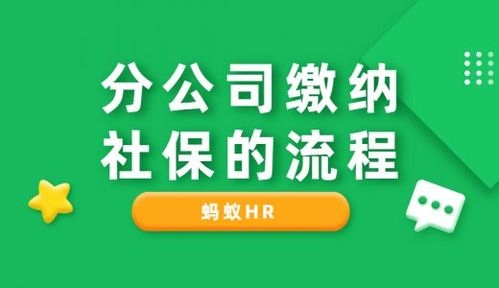 蚂蚁社保代缴靠谱吗？蚂蚁hr成立多久了