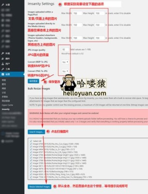 浅析Z-blog和WordPress在SEO上谁更优势？Wordpress 百度多久收录