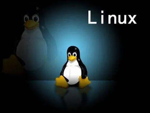 linux必须存在吗？linux还会存在多久