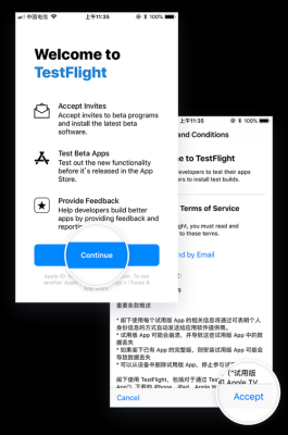 testflight条款怎么同意？testflight 审核多久