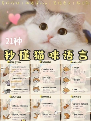 破解猫咪行为语言密码？破解一种语言需要多久