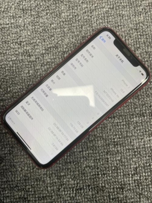 iphonexr升级14.6需要多久？（苹果系统一般下载多久）