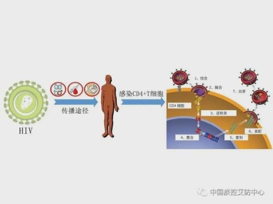 请问艾滋病毒通过精液射出来后，在空气里可以存活多久啊？（射里面了怎么办）