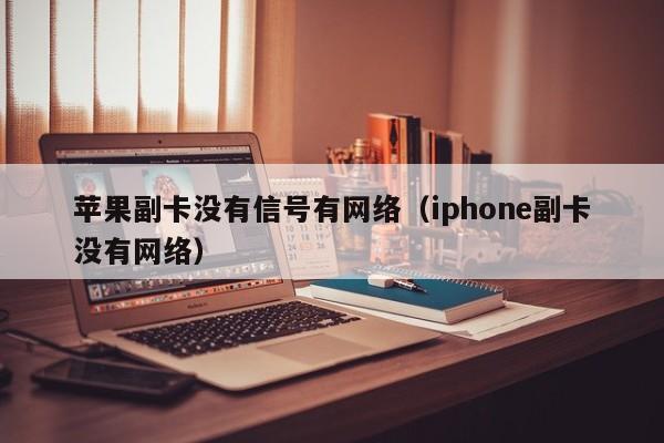 苹果副卡没有信号有网络（iphone副卡没有网络）