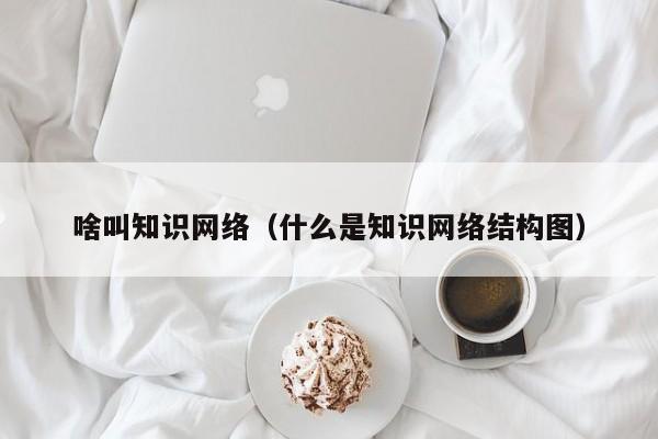 啥叫知识网络（什么是知识网络结构图）