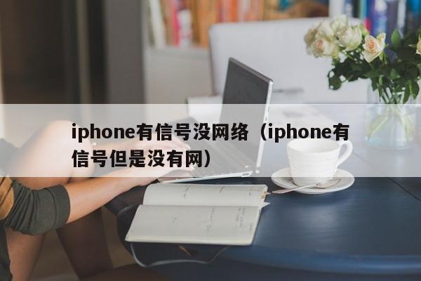 iphone有信号没网络（iphone有信号但是没有网）