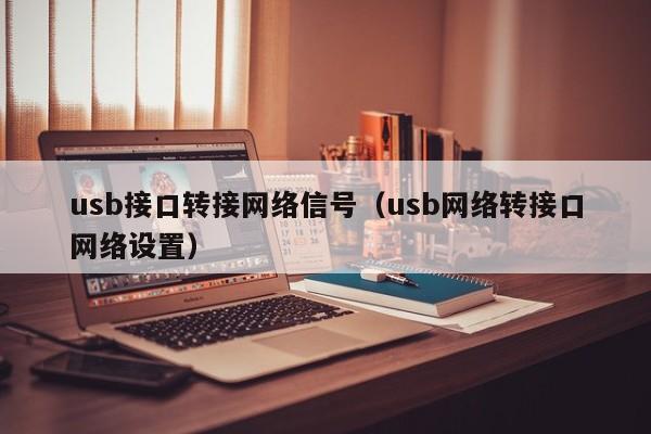 usb接口转接网络信号（usb网络转接口网络设置）