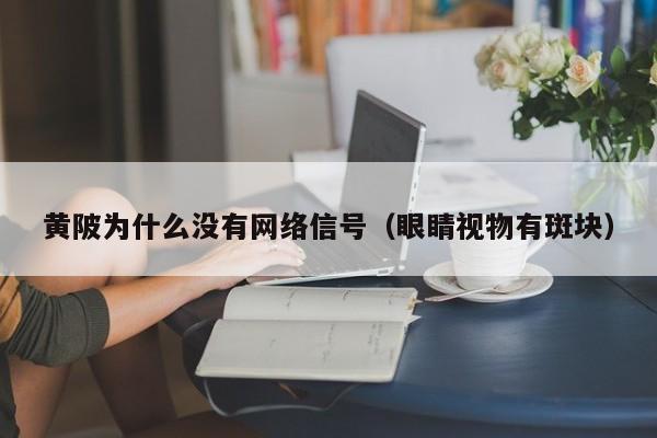 黄陂为什么没有网络信号（眼睛视物有斑块）