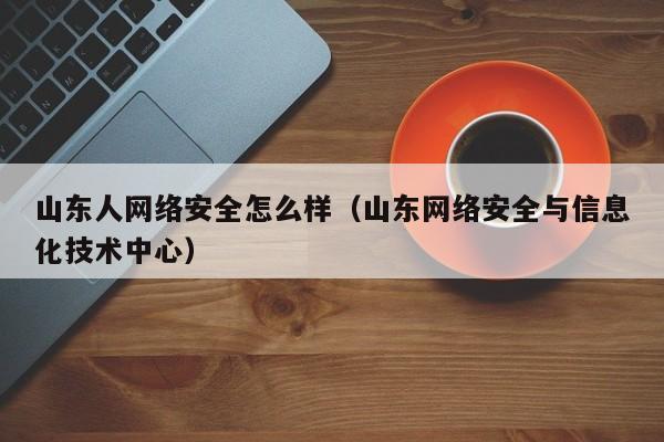 山东人网络安全怎么样（山东网络安全与信息化技术中心）