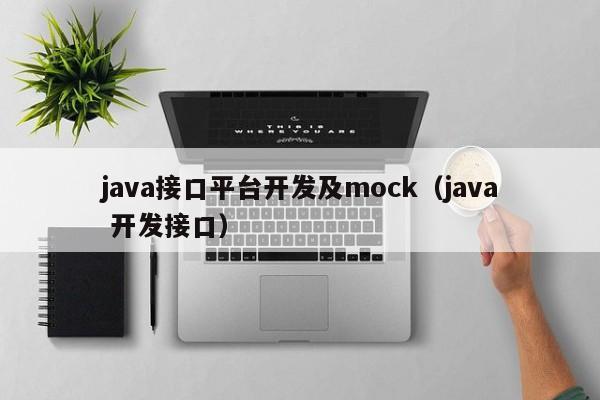 java接口平台开发及mock（java 开发接口）