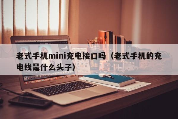 老式手机mini充电接口吗（老式手机的充电线是什么头子）