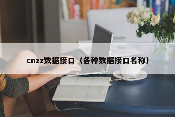 cnzz数据接口（各种数据接口名称）