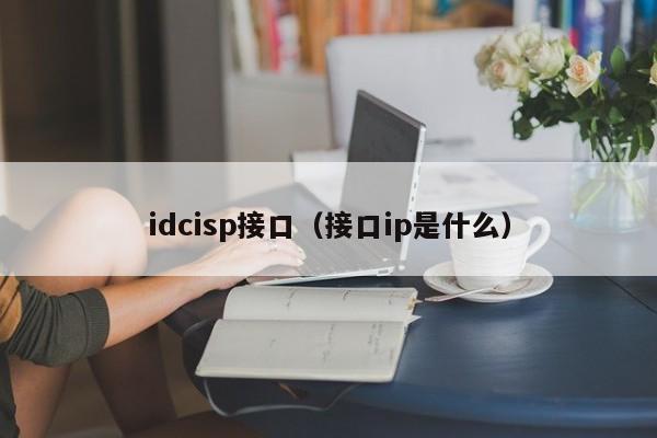 idcisp接口（接口ip是什么）