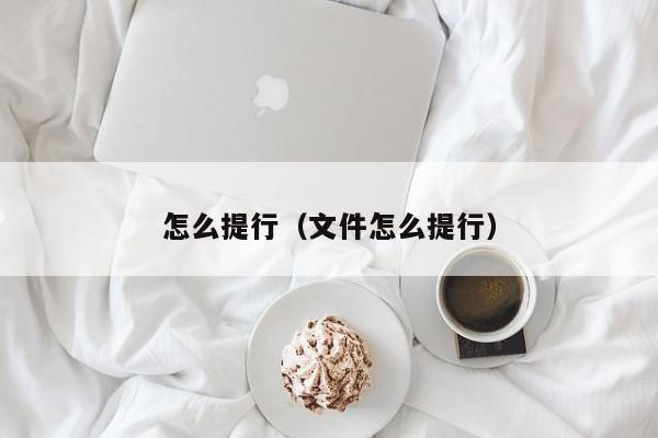 怎么提行（文件怎么提行）