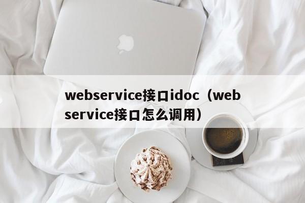 webservice接口idoc（webservice接口怎么调用）