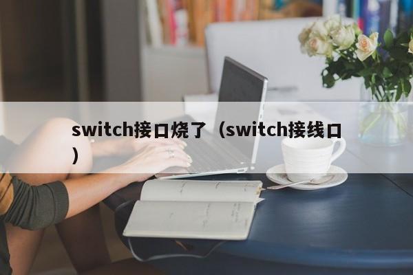 switch接口烧了（switch接线口）