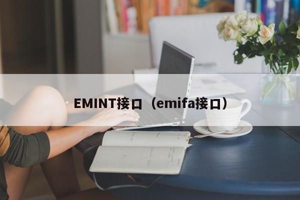 EMINT接口（emifa接口）