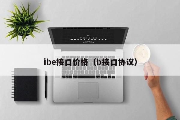 ibe接口价格（b接口协议）