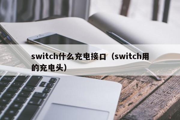 switch什么充电接口（switch用的充电头）