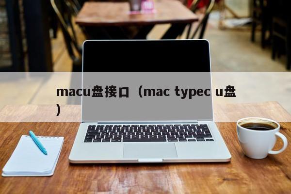 macu盘接口（mac typec u盘）