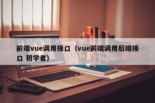 前端vue调用接口（vue前端调用后端接口 初学者）