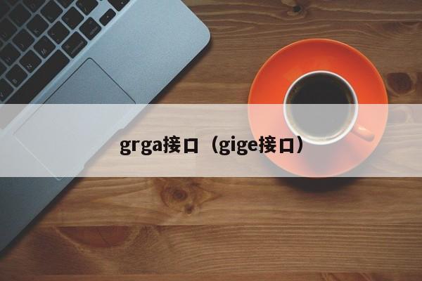 grga接口（gige接口）