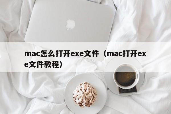 mac怎么打开exe文件（mac打开exe文件教程）