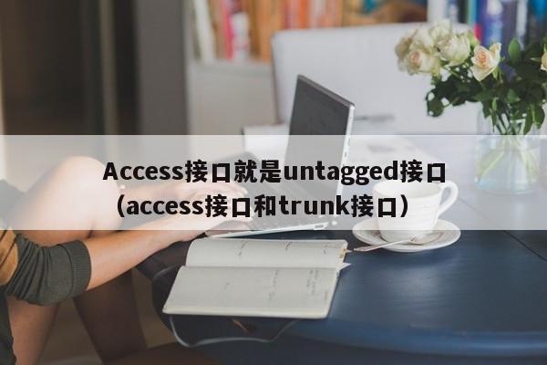 Access接口就是untagged接口（access接口和trunk接口）