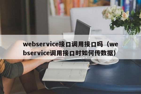 webservice接口调用接口吗（webservice调用接口时如何传数据）