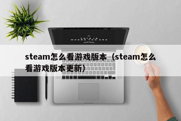 steam怎么看游戏版本（steam怎么看游戏版本更新）