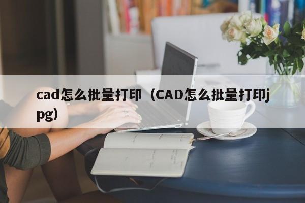 cad怎么批量打印（CAD怎么批量打印jpg）