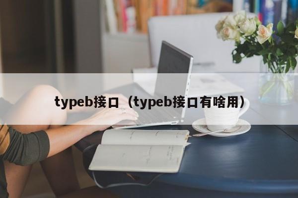 typeb接口（typeb接口有啥用）