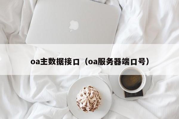 oa主数据接口（oa服务器端口号）