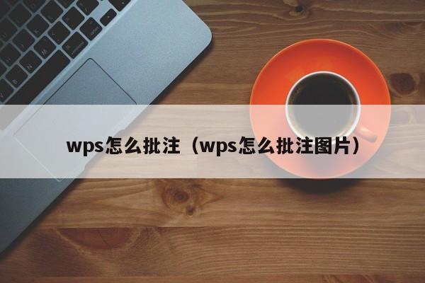 wps怎么批注（wps怎么批注图片）