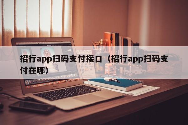 招行app扫码支付接口（招行app扫码支付在哪）