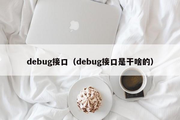 debug接口（debug接口是干啥的）