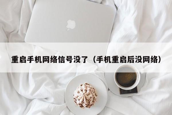 重启手机网络信号没了（手机重启后没网络）