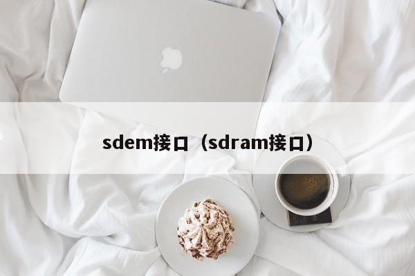 sdem接口（sdram接口）