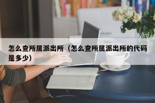 怎么查所属派出所（怎么查所属派出所的代码是多少）